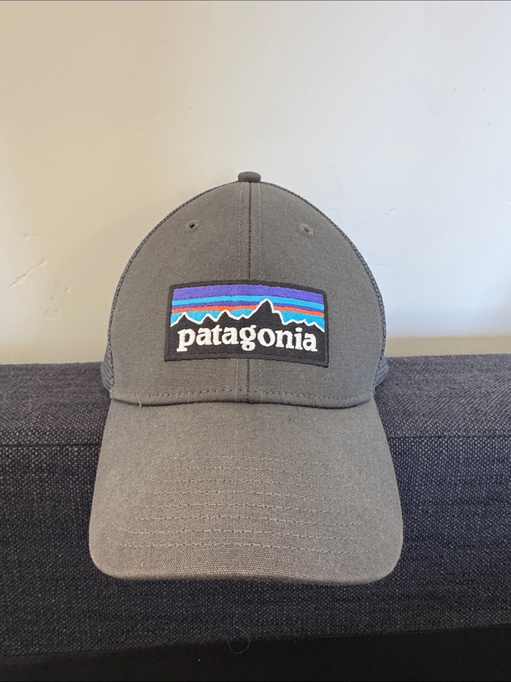 Free Add On! Patagonia Gray Trucker Hat with Mountain Logo Patch